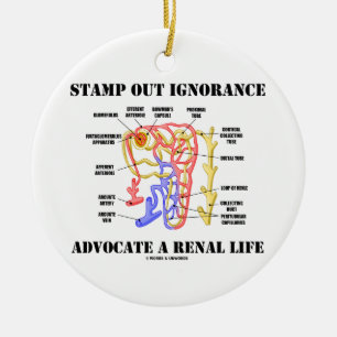Stamp Out Ignorance Advocate A Renal Life Nephron Ceramic Ornament