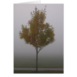 Stand Alone