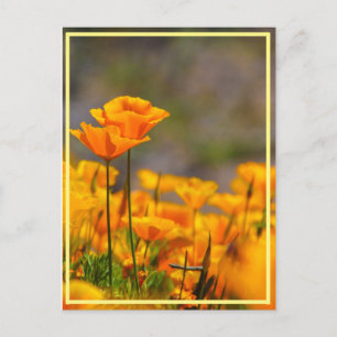 Stand by me! postcard