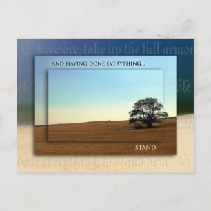 Stand Firm Postcard