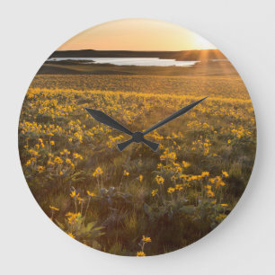 Stand Of Arrowleaf Balsamroot Wildflowers Large Clock