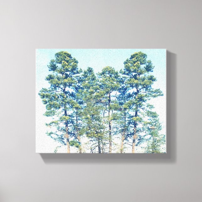 Stand Of Trees Canvas Print (Front)