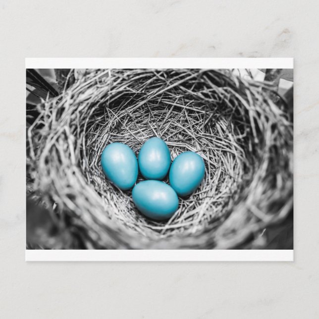 Stand Out Postcard (Front)