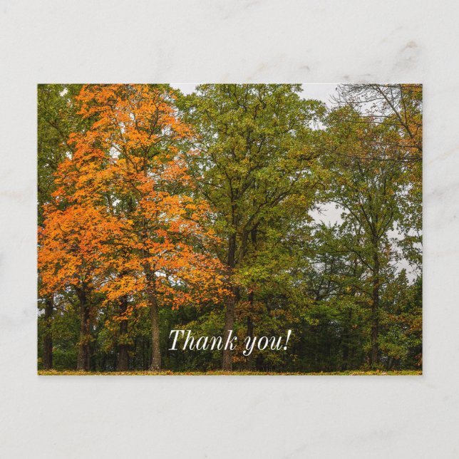 Stand Out Postcard (Front)