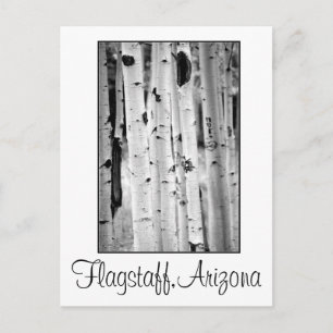 Stand tall Aspen's Flagstaff Postcard