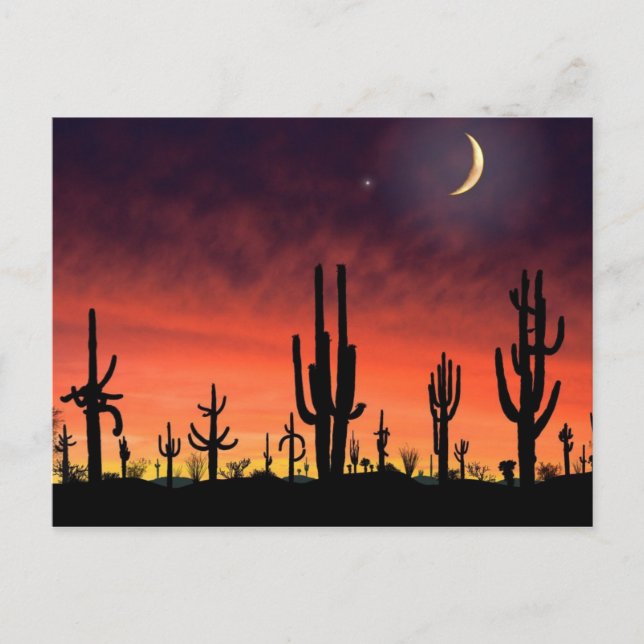 Stand Tall_ Postcard (Front)