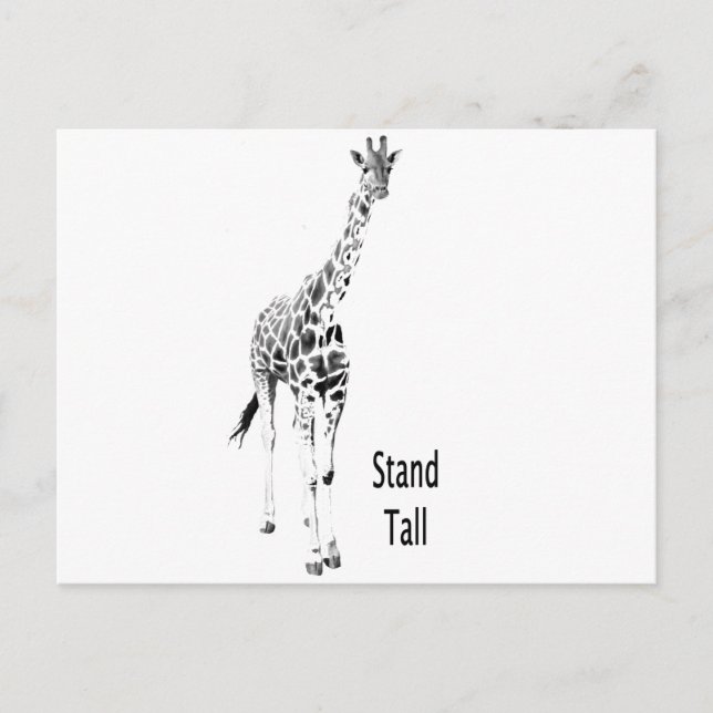 Stand Tall Postcard (Front)