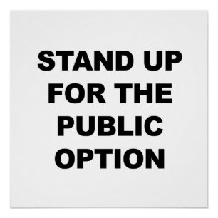 Stand Up for the Public Option Poster