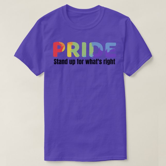 Stand Up For Whats Right Pride T-Shirt (Design Front)
