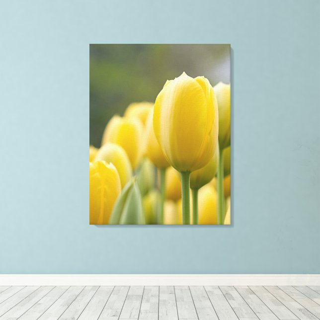 Stand Up Tulip Canvas Print (Insitu(Wood Floor))