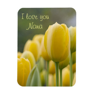 Stand Up Tulip Magnet