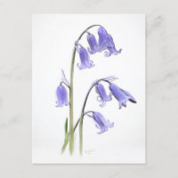 Standard, 12.7 cm x 17.8 cm Folded Greeting Card