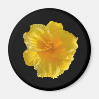 Standard, 2 1/4 Inch Yellow Flower Circle Magnet