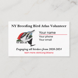 Standard, 3.5" x 2.0" Business Card