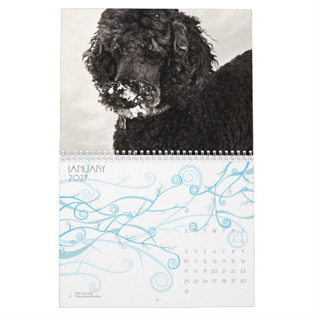 Standard Poodle 2010 Calendar (Jan 2027)