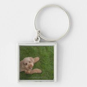 standard poodle 2 keychain