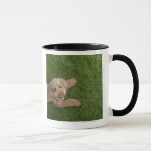 standard poodle 2 mug