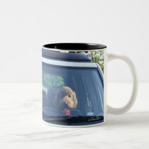 standard poodle 4 Two-Tone coffee mug
