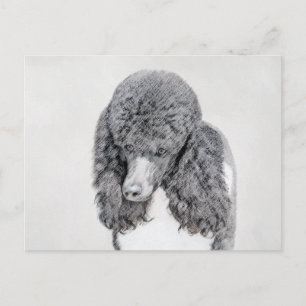 Standard Poodle Black Parti Painting - Dog Art Postcard