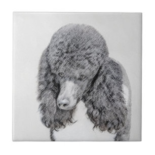 Standard Poodle Black Parti Painting - Dog Art Tile