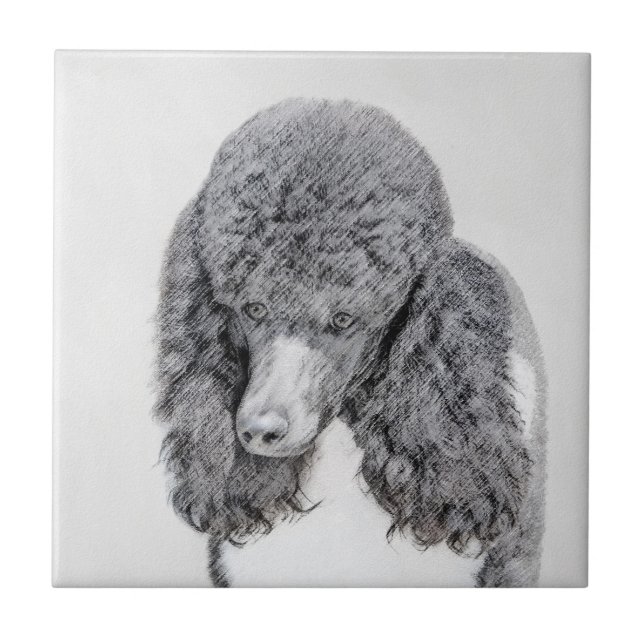 Standard Poodle Black Parti Painting - Dog Art Tile (Front)