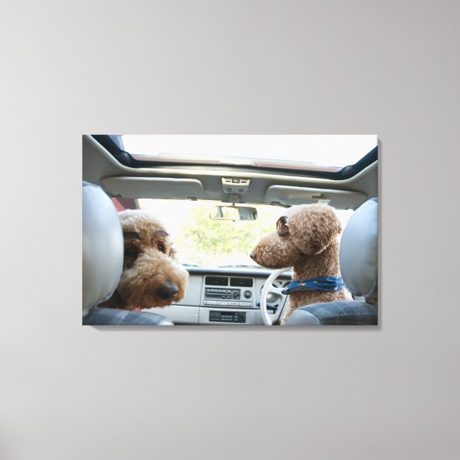standard poodle canvas print (Front)