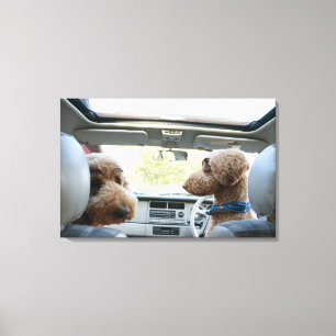 standard poodle canvas print