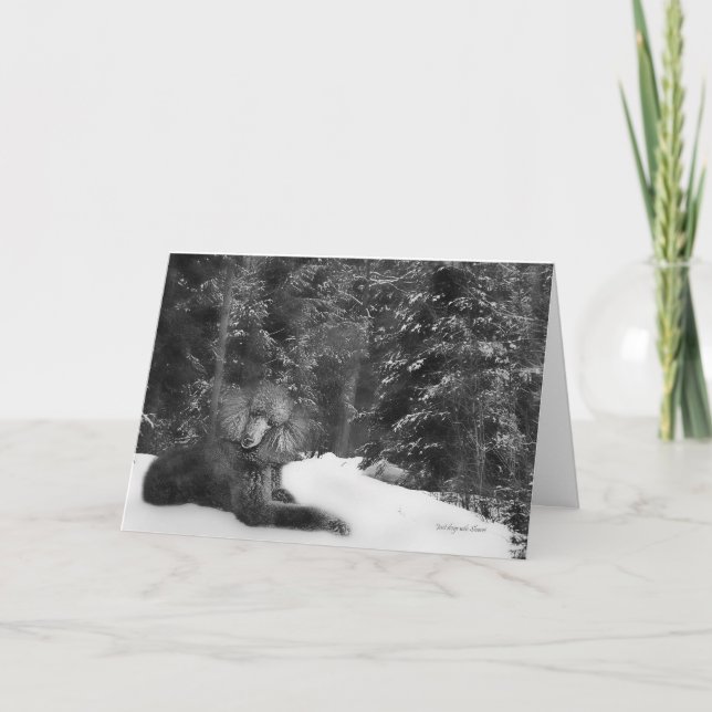 Standard Poodle Card (Front)