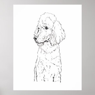 Standard Poodle Dog Illustration - Ink Art Poster