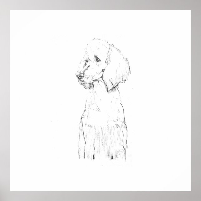 Standard Poodle Dog Illustration  Poster (Front)