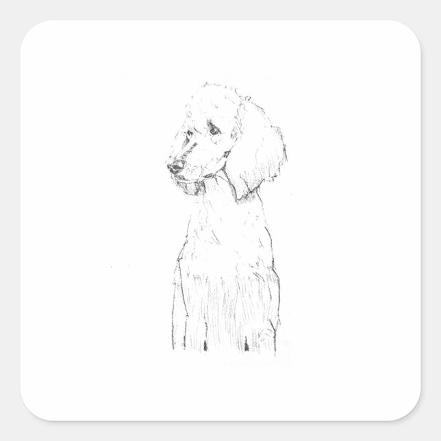 Standard Poodle Dog Illustration  Square Sticker (Front)
