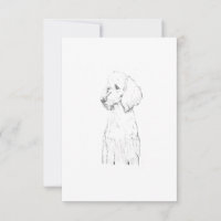 Standard Poodle Dog Illustration