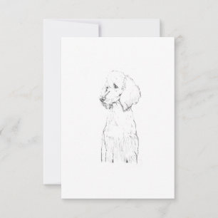 Standard Poodle Dog Illustration  Thank You Card