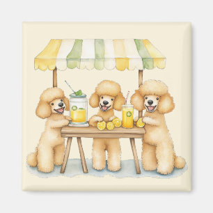 Standard Poodle Dogs Running A Lemonade Stand Magnet