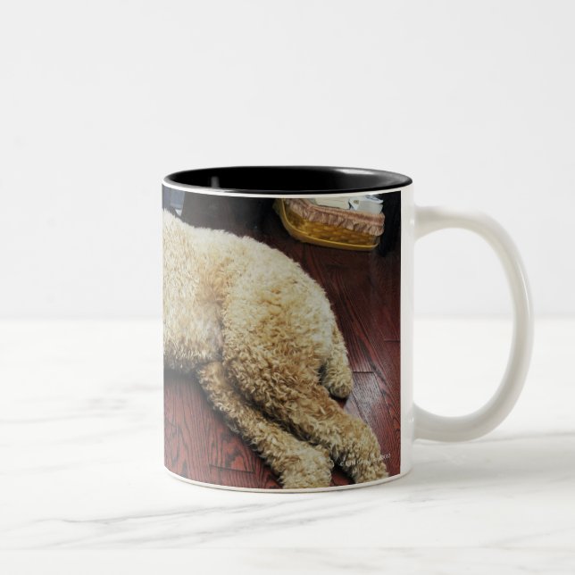 Standard Poodle Sleeping on Floor Two-Tone Coffee Mug (Right)