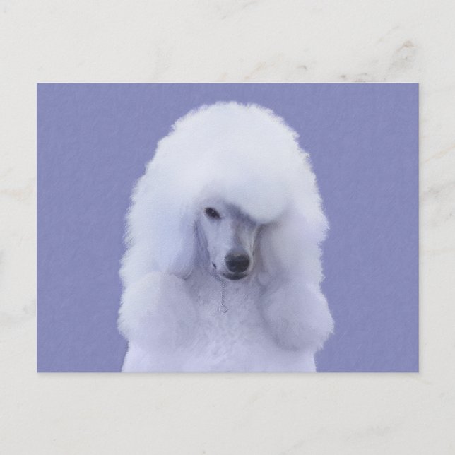 Standard Poodle White Painting - Original Dog Art Postcard (Front)