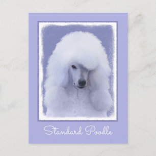 Standard Poodle White Painting - Original Dog Art Postcard