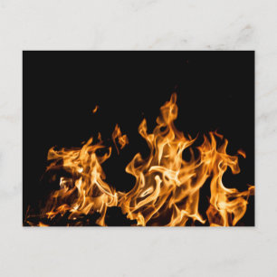 Standard Postcard