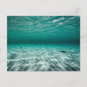 Standard Postcard