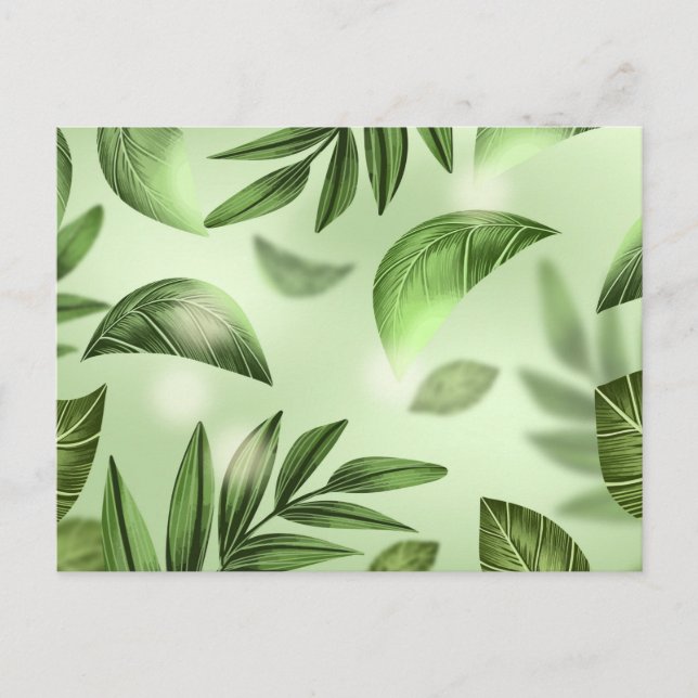 Standard Postcard (Front)