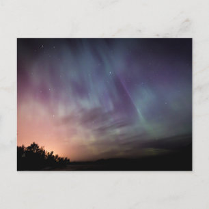 Standard Postcard