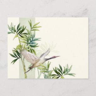 Standard Postcard