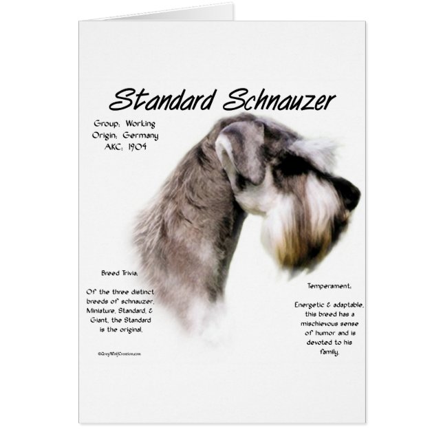 Standard Schnauzer History Design (Front)