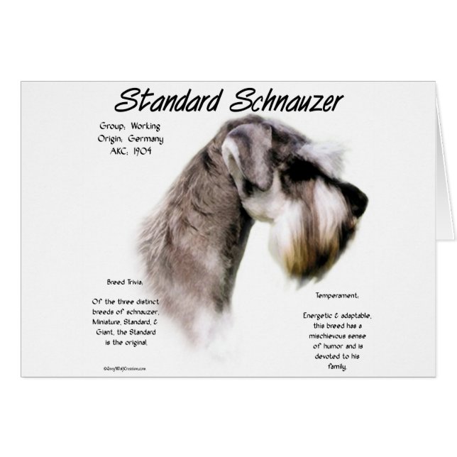 Standard Schnauzer History Design (Front Horizontal)