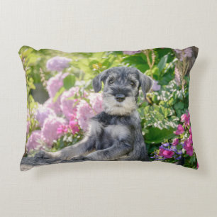Standard Schnauzer puppy in a flowering garden Accent Pillow