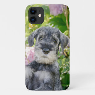 Standard Schnauzer Puppy in a Flowering Garden - iPhone 11 Case