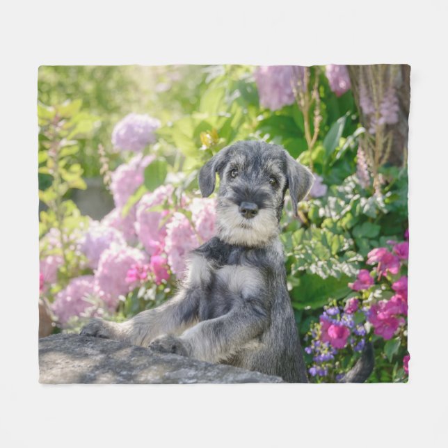 Standard Schnauzer Puppy in a Flowering Garden Fleece Blanket (Front (Horizontal))
