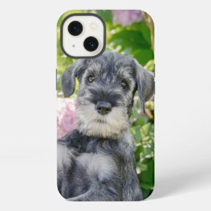 Standard Schnauzer Puppy in a Flowering Garden - iPhone 13 Case