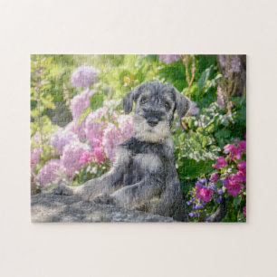 Standard Schnauzer puppy in a flowering garden Jigsaw Puzzle