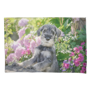 Standard Schnauzer Puppy in a Flowering Garden - Pillowcase
